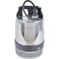 Pompe utilitaire s&eacute;rie FLS/FS, 1 CV, 80 gal./min, 115 V, 10 A Consource