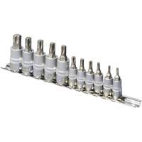 SS1438-11T Jeu de douilles chrom&eacute;es, Torx, Prise 1/4"/3/8", 10 mr Consource
