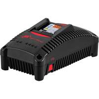 IQV&reg;40 Battery Charger, 40 V, Lithium-Ion Consource