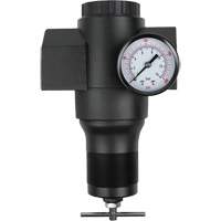 Aluminum Regulator, 1-1/2" NPT, 300 psi Max. PSI, In Line Consource
