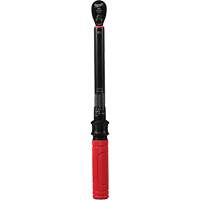 Cl&eacute; dynamom&eacute;trique, &agrave; cliquer, Entraînement 3/8" carr&eacute;, 20 - 100 lb-po/27,1 - 135,6 Nm Consource