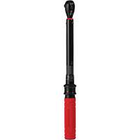 Cl&eacute; dynamom&eacute;trique, &agrave; cliquer, Entraînement 3/8" carr&eacute;, 20 - 100 lb-po/27,1 - 135,6 Nm Consource