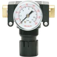 MODULAIR 200 Acetal Piston Regulator, 1/4" NPT, 150 PSI Max. PSI, In Line/Modular Consource