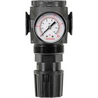 MODULAIR 300 Zinc Diaphragm Regulator, 3/8" NPT, 300 psi Max. PSI, In Line/Modular Consource