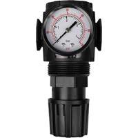 MODULAIR 300 Compressed Air Regulator, 1/2" NPT, 300 psi Max. PSI, In Line/Modular Consource