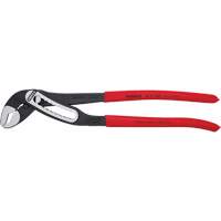 Pince multiprise auto-bloquante Alligator&reg;, 12" Consource