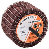 Meule &agrave; lamelles abrasives Two-In-One Consource