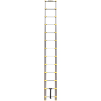 &eacute;chelle t&eacute;lescopique, 3' - 12', Aluminium, Capacit&eacute; de 250 lb, Type 1 Consource