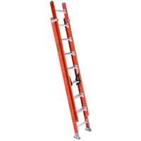 &eacute;chelle &agrave; coulisses multisectionnelle, Cap 300 lb, 13' h, Calibre 1A Consource
