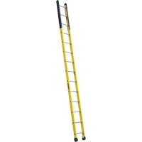 &eacute;chelle &eacute;troite pour trou d'homme, 14', Fibre de verre, 375 lb, CSA calibre 1AA Consource