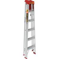 Step Ladder with Paint Tray, 6', Aluminum, 200 lbs. Capacity, Type 3 Consource