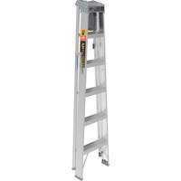 Step Ladder with Paint Tray, 6', Aluminum, 225 lbs. Capacity, Type 2 Consource