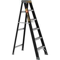 Step Ladder, 6', Fibreglass, 250 lbs. Capacity, Type 1 Consource