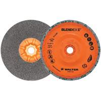 Blendex U Finishing Cup Disc, 5" Dia., Fine Grit, Silicon Carbide Consource