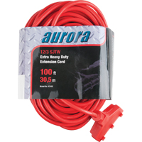 Cordon rallonge en vinyle, Ext&eacute;rieur, SJTW, AWG 12/3, 15 A, 3 prise(s), 100' Consource