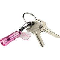 Lampes de poche Nano Light Consource