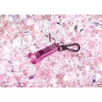 Lampes de poche Nano Light Consource