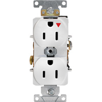 Industrial Grade Isolated Duplex Outlet Consource
