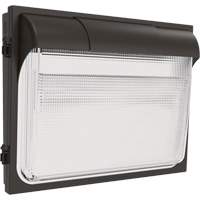 TWX3 Wall Luminaire, LED, 347 V, 14" H x 18" W x 5" D Consource