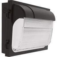 TWX Wall Luminaire, LED, 480 V, 9 W - 54 W, 14" H x 18" W x 5" D Consource