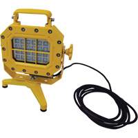 Explosion Proof Floodlight with Stand, LED, 40 W, 5600 Lumens, Aluminum Housing Consource