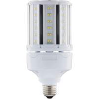 Ampoule HID de remplacement s&eacute;lectionnable ULTRA LED, E26, 18 W, 2700 lumens Consource
