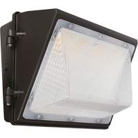Non-Cutoff Wall Pack, LED, 120 - 277 V, 75 - 110 W, 9.33" H x 6.65" W x 14.5" D Consource