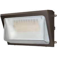 Wall Pack Light Fixture, LED, 120 -347 V, 40 W Consource