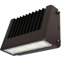 Wall Pack Light Fixture, LED, 120 V, 80 W, 6.5" H x 9.3" W x 14.4" D Consource