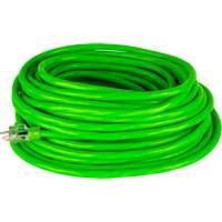 Industrial Extension Cord, All-Weather, SJTW, 10/3 AWG, 15 A, 50' Consource